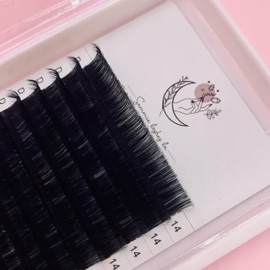 Sammie Lashes LA Individual Classic/Volume Lash Extensions | 0.03, 0.05 diameter | 9mm - 16mm length | C Curl, D Curl | Easy Fan | Synthetic Mink (10mm, 0.05 D Curl)