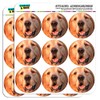 Golden Retriever Dog 2" Planner Calendar Scrapbooking Crafting Stickers -