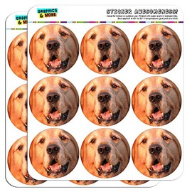 Golden Retriever Dog 2" Planner Calendar Scrapbooking Crafting Stickers - Opaque