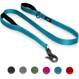TwoEar 6FT 1IN Strong Blue Dog Leash with 2 Padded Handles, Traffic Handle Extra Control, Comfortable Soft Dual Handle, Auto Lock Hook, Reflective Walking Lead for Small Medium and Large Dogs