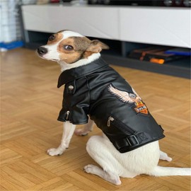 Warm Dog Jackets Winter Dog Coats Jackets for Small and Medium Sized Dogs Windproof and Waterproof Puppy Jackets Cool Pet Dog Clothes Dog Leather Jackets Chihuahua Clothes Yorkie Clothes Black XXL