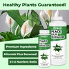 Peace Lily Fertilizer, Complete Liquid Peace Lily Plant Food, 8