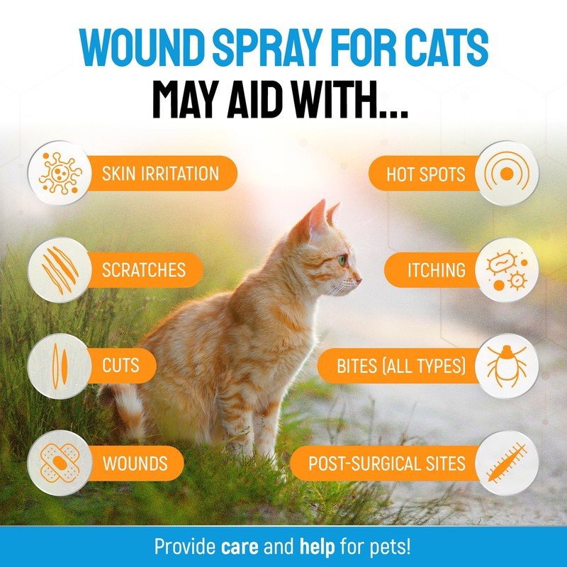 Cat Wound Care Spray with Silver – Wounds, Rashes, Hot