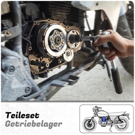 Parts and Parts Gear Bearing Compatible with Piaggio Free NRG NTT Typhoon Zip