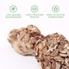 fourfive Multi Mushroom Supplement (10000mg) Ultimate Blend with Reishi, Lion's