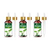 Salvia Bhringraj Oil – 3 Pack | Cosmetic Grade Carrier