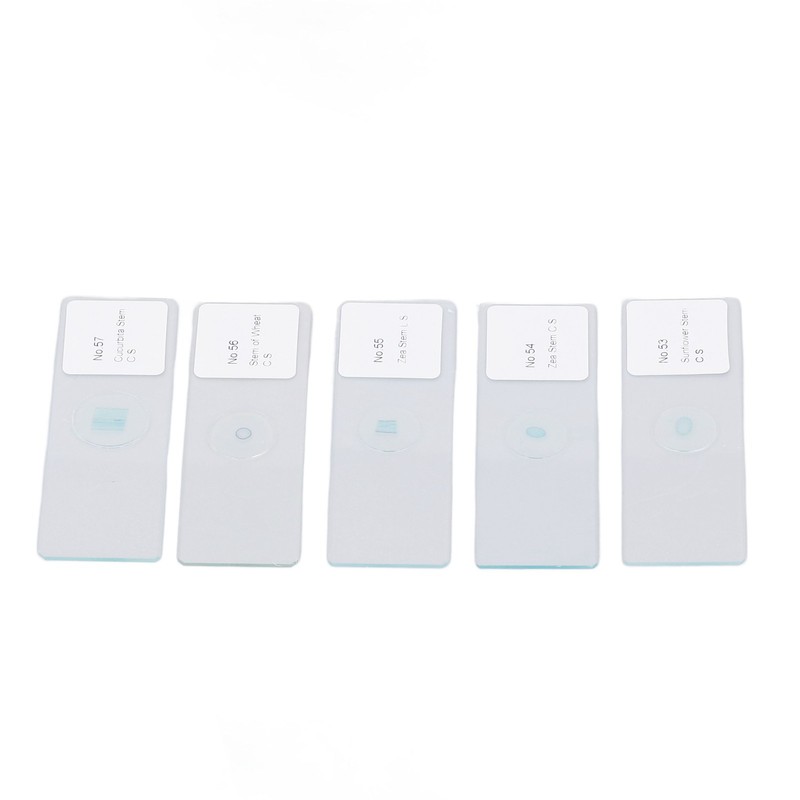 100pcs Microscope Slides Rounded Edge Plants Blank Microscope Slides for