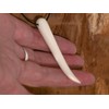 Fly Style Tooth pendant made of buffalo bone – chain