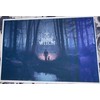 Blair Witch Postcards (Matte Paper)