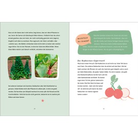 Schau mal, was da wächst: Nachhaltig gärtnern mit Kindern. Gartenabenteuer für Kinder, Entdecken, Lernen, Spielen für junge Entdecker, Naturerlebnis über Pflanzen, Tiere, Ökosysteme im eigenen Garten