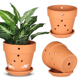 FELISTORY 8 Inch Terracotta Orchid Pots with Holes and Saucers, 3 Pack Small Terra Cotta Clay Orchid Planter Pots for Plant Flower Pots for Orchid Indoor and Outdoor Promotes Air Circulatio