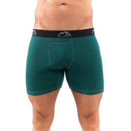 Merino.tech Merino Wool Underwear Mens - 100% Merino Wool Base Layer Boxer Briefs for Men (Medium, 1 Pack - 170 Forest Green)