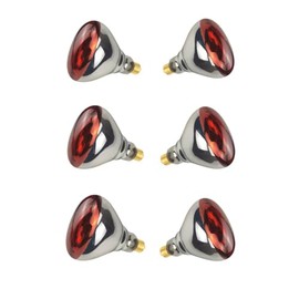 6 Pack 250W Red Heat Lamp Infrared Bulbs Glass Lamp Bulb for Food Service, Brooder Bulb, Chicks, Pet, Bathroom, Light Therapy Use E26 Base, Flood Light Heat Lamp