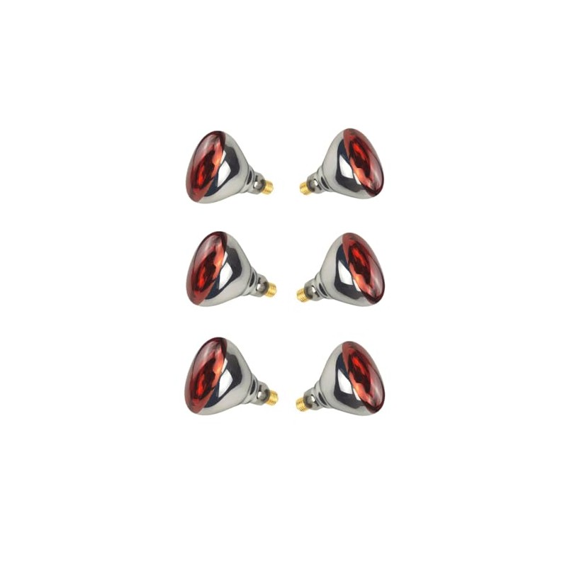 6 Pack 250W Red Heat Lamp Infrared Bulbs Glass Lamp