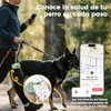 Bolsas para Excremento de Perros, Bolsas Popo Perro Extra Gruesas