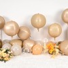 Cream Round Foil Balloons 9 pcs,Apricot Beige Giant 4D Round