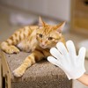 Pet Cleaning Gloves, Dog Cleaning Gloves, Dry Paws for Puppy