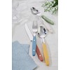 ANNOVA Silverware Set 20 Pieces Stainless Steel Color Handle With