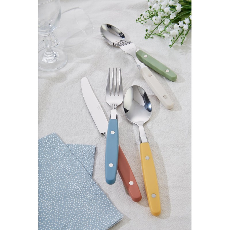 ANNOVA Silverware Set 20 Pieces Stainless Steel Color Handle With