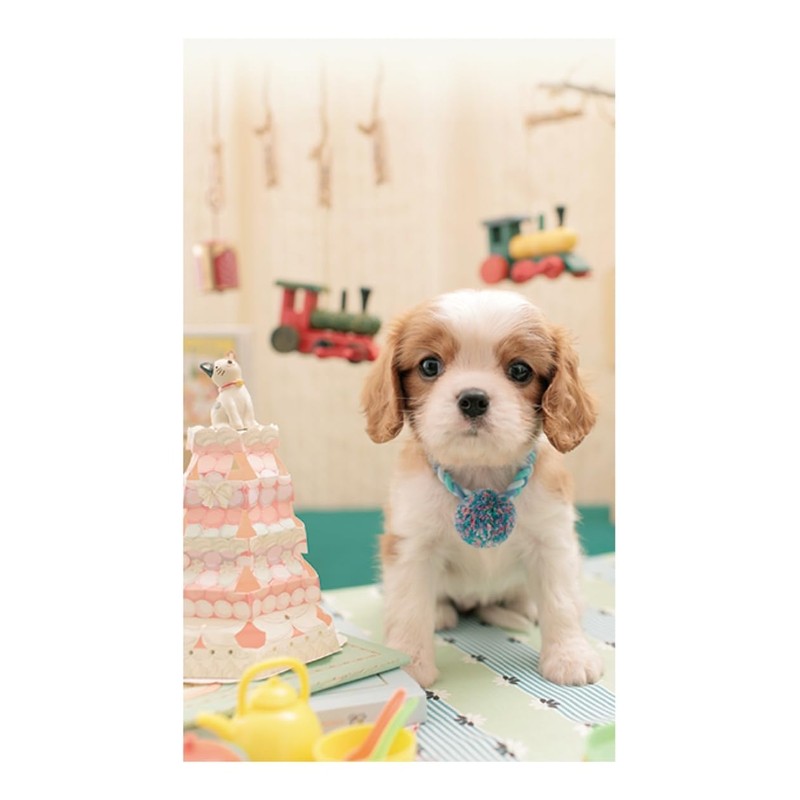 2026 Calendar Puppy (Tabletop)