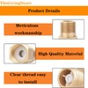 1/4 Inch Brass Check Valve, 1/4" Female to 1/4" male