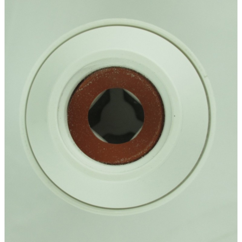 WaterSentinel WS-21 Calcium Inhibitor Filter and Misting System Protector ,