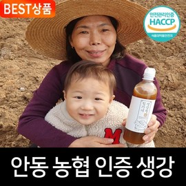 Himgane Himgane Handmade Ginger Syrup & Ginger Tea 600g / 힘가네 힘가네 생강청 생강차 수제 600g