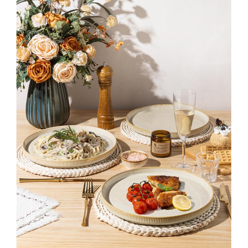 theterra Dinner Plates Set of 6, 10.25 Inch Ceramic Dinner