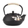 Cast Iron Teapot,SECHUDO Tea Kettle,Japanese Cast Iron Teapot with Stainless