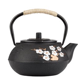 Cast Iron Teapot,SECHUDO Tea Kettle,Japanese Cast Iron Teapot with Stainless Steel Infuser for Stovetop Safe (27.1OZ/800ML)