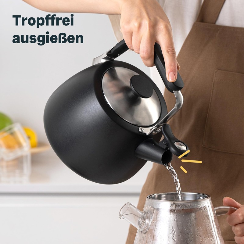 SILBERTHAL Induction Kettle 2.8 L - Stainless Steel Tea Kettle