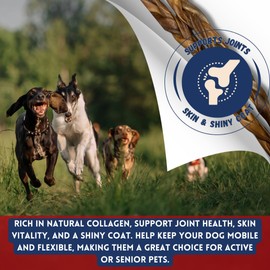 Fresh Farms Braided Collagen Sticks for Dogs 10 Pack - 6 Inches - Long-Lasting Alternative to Bully Sticks, Rawhide-Free Collagen Chews w/Chondroitin & Glucosamine for Joint Support & Dental Health