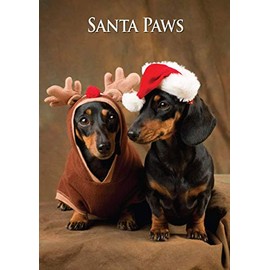 Miniature Dachshunds Dog Christmas Card by Charles Sainsbury-Plaice. Large A5 Size with Envelope.