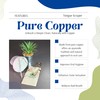 PURE EARTH essentials Copper Tongue Scraper for Adults - Oral