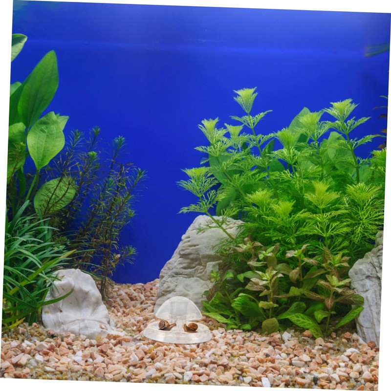 WOONEKY Aquarium Snail Catcher Practical Plastic Snail Trap for Freshwater