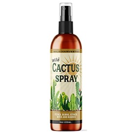 Wild Harvested Cactus Spray