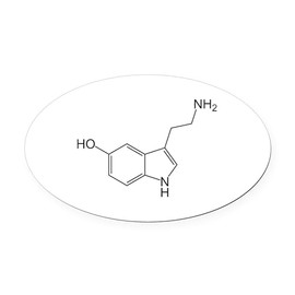 CafePress Serotonin Oval Car Magnet, Euro Oval Bumper Magnet