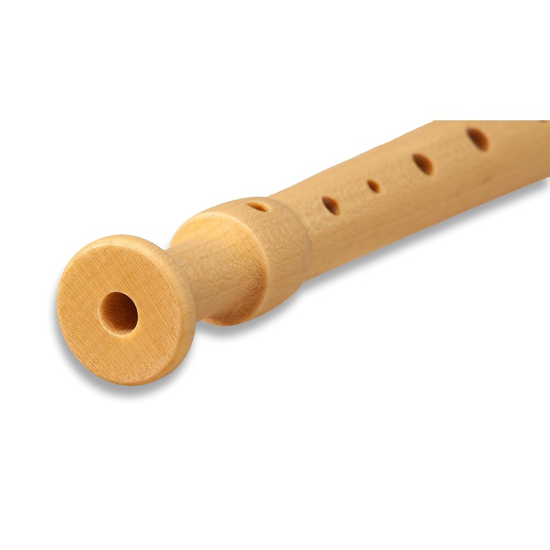 Mollenhauer 17311 Fipple Soprano Recorder, Lere, Apple Green, German Single
