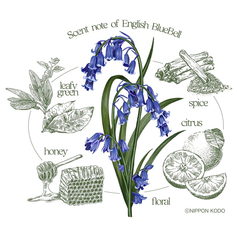 Flower Style Platinum Bluebell Small Rose Filler