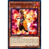 Yu-Gi-Oh! - Salamangreat Meer - SDSB-EN007 - Common - 1st Edition - Structure Deck: Soulburner