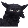 Nemesis Now Spite Cat Figurine, Resin, Black, 19.6 cm