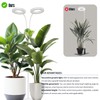 GLOWRIUM Grow Lights for Indoor Plants, 36W Full Spectrum 2-Head
