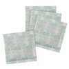 [For Futon Compression Packs] OZO Strong Absorption Desiccant 4P (Made