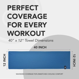 desired body Microfiber Cooling Towels for Neck and Face - 4 Pack 40x12” Mesh Quick Dry Gym Towels for Working Out with Waterproof Bag and Carabiner - Sweat Rag for Gym, Sports, Outdoor Activities