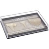 Namvo Set of 3pcs Natural Fossil Shark Tooth Specimen Natural