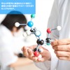 U-Kiss Molecular Structure Model Set, Organic and Inorganic Chemistry, Student