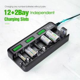 EBL 12+2 Bay LCD Battery Charger for AA AAA C D 9V Li-ion Ni-MH Ni-CD (AC Power)