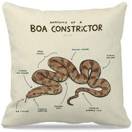 GICHUGI Boa Constrictor Snake Pillow Covers - Boa Constrictor Gift, Snake Owner Gifts for Women Men, Anatomy of a Boa Constrictor Pillow Covers, Funny Snake Vintage Decorative Throw Pillow Case