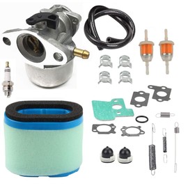 Replacement for Am134697 790120 693909 694202 692648 AM134697 JS63FOR John Deere JA60 JA62 JA65 JS40 JS45 JS63C JS63E 21-inch Walk-Behind Lawn Mower SP6211 SP6213 Carb