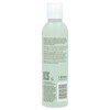 EcoTools Makeup Brush + Sponge Shampoo, Fragrance Free, 6 fl